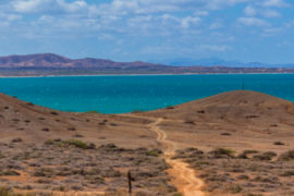 Portada Punta Gallina